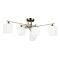 Потолочная люстра с 6 стеклянными плафонами под лампы цоколя E27 Arte Lamp LARGO A4497PL-6AB