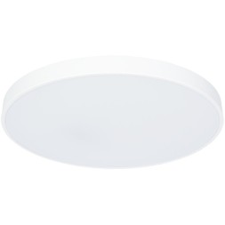 Настенно-потолочный светильник Arte Lamp A2671PL-1WH ARENA светодиодный LED 80W
