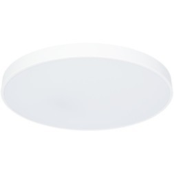 Настенно-потолочный светильник Arte Lamp A2671PL-1WH ARENA светодиодный LED 80W