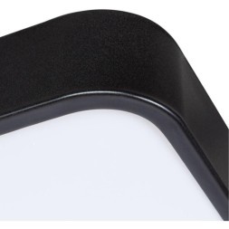 Настенно-потолочный светильник Arte Lamp A2687PL-45BK SCENA светодиодный LED 45W