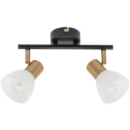 Спот настенный Arte Lamp A3117PL-2BK FALENA под лампы 2xE14 40W