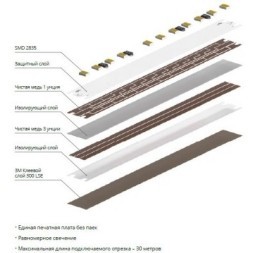 A2412005-03-6K Светодиодная лента 24В 9,6Вт/м 1000Лм/м 6000К CRI 90+ 5мм SMD2835 120шт/м 5м IP20