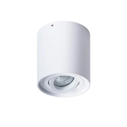 Накладной потолочный светильник Arte Lamp A5645PL-1WH FALCON под лампу 1xGU10 50W