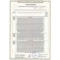 Точечный накладной светильник Arte Lamp UNIX A1516PL-1GY