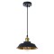 Подвесной светильник Arte Lamp CAPPELLO A7038SP-1BK