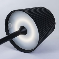 Декоративная настольная лампа Arte Lamp FUYUE A1616LT-1BK