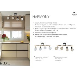 Потолочный светильник с 4 стеклянными плафонами и цоколем E27 Arte Lamp Harmony A5110PL-4AB