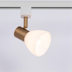 Однофазный двужильный трековый светильник Arte Lamp A3117PL-1WH FALENA под сменную лампу Е14
