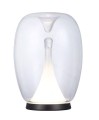 Декоративная настольная лампа Divinare CAMPO 5875/09 TL-15