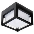 Уличный потолочный светильник Arte Lamp ULYSSES A6406PF-1BK