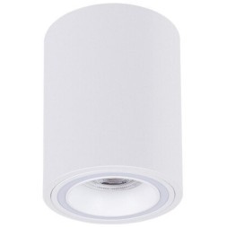 Точечный накладной светильник Arte Lamp IMAI A2267PL-1WH