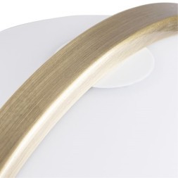 Декоративная настольная лампа Arte Lamp BRAVA A5056LT-1AB