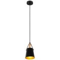 Подвесной светильник с 1 плафоном Arte Lamp A7032SP-1BK THOMAS под лампу 1xE27 60W