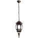 Уличный подвесной светильник Arte Lamp A1045SO-1BN ATLANTA IP43 под лампу 1xE27 75W