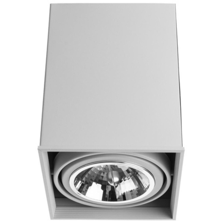 Точечный накладной светильник Arte Lamp CARDANI GRANDE A5936PL-1WH