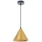 Подвесной светильник Arte Lamp DAVID A7033SP-1BK