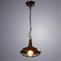 Подвесной светильник Arte Lamp PANDORA A9181SP-1BR