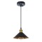 Подвесной светильник Arte Lamp CAPPELLO A7037SP-1BK