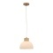 Подвесной светильник Arte lamp CAPRICE A4184SP-1BR