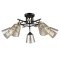Потолочная люстра со стеклянными плафонами Arte Lamp GLASSY A5078PL-5BK лампы 5шт E27
