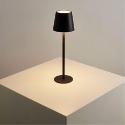 Уличный настольный светильник Arte Lamp FUYUE A1616LT-1BK