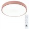 Потолочный светильник Arte Lamp ARENA A2661PL-1PK