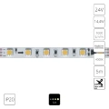 Arte Lamp A2406010-04-4K Светодиодная лента SPI (по-пиксельное цифровое управление участками) теплого света, длина 5 метров, ширина 10мм, SMD5050 60шт/м 14,4Вт/м 1000Лм/м 4000К CRI90+ 120° IP20 24В, кратность резки 100мм, -20°...+45°C