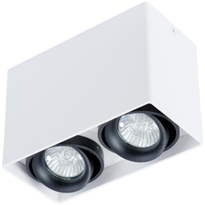 Накладной потолочный светильник Arte Lamp A5655PL-2WH PICTOR под лампы 2xGU10 50W