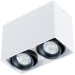 Накладной потолочный светильник Arte Lamp A5655PL-2WH PICTOR под лампы 2xGU10 50W