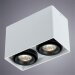 Накладной потолочный светильник Arte Lamp A5655PL-2WH PICTOR под лампы 2xGU10 50W