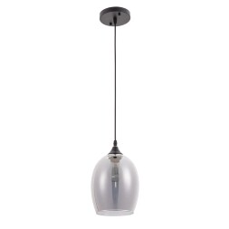 Подвесной светильник с 1 плафоном Arte Lamp A4344SP-1BK PROPUS под лампу 1xE27 60W
