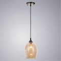 Подвесной светильник с 1 плафоном Arte Lamp A4344SP-1AB PROPUS под лампу 1xE27 60W