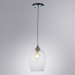 Подвесной светильник с 1 плафоном Arte Lamp A4344SP-1CC PROPUS под лампу 1xE27 60W