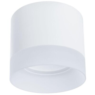 Накладной потолочный светильник Arte Lamp A5554PL-1WH CASTOR под лампу 1xGX53 15W