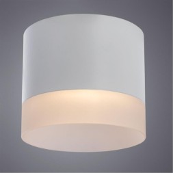 Накладной потолочный светильник Arte Lamp A5554PL-1WH CASTOR под лампу 1xGX53 15W
