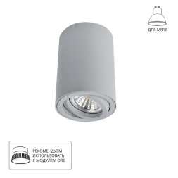 Точечный накладной светильник Arte Lamp SENTRY A1560PL-1GY