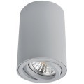 Точечный накладной светильник Arte Lamp SENTRY A1560PL-1GY