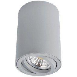 Точечный накладной светильник Arte Lamp SENTRY A1560PL-1GY