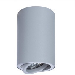 Точечный накладной светильник Arte Lamp SENTRY A1560PL-1GY