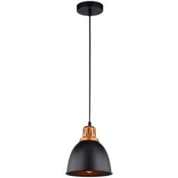 Подвесной светильник с 1 плафоном Arte Lamp A4245SP-1BK EURICA под лампу 1xE27 60W