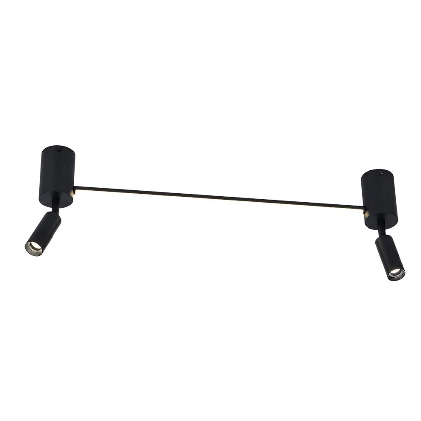 Спот Arte Lamp A2219PL-2BK