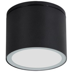 Уличный потолочный светильник Arte Lamp PIAUTOS A1913PF-1BK