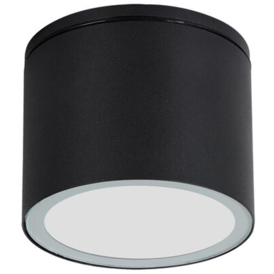 Уличный потолочный светильник Arte Lamp PIAUTOS A1913PF-1BK