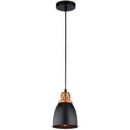 Подвесной светильник с 1 плафоном Arte Lamp A4248SP-1BK EURICA под лампу 1xE27 60W