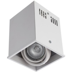 Накладной потолочный светильник Arte Lamp A5942PL-1WH CARDANI PICCOLO под лампу 1xGU10 50W