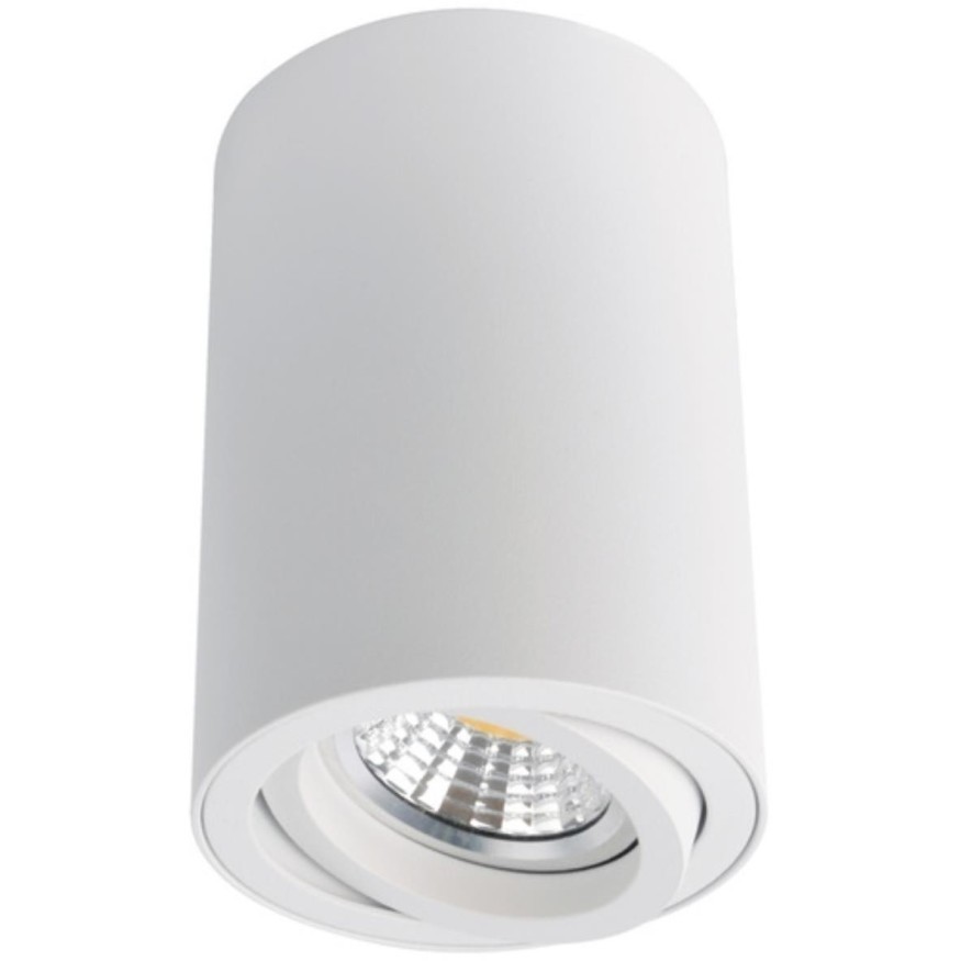 Накладной потолочный светильник Arte Lamp A1560PL-1WH SENTRY под лампу 1xGU10 50W