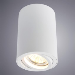 Накладной потолочный светильник Arte Lamp A1560PL-1WH SENTRY под лампу 1xGU10 50W