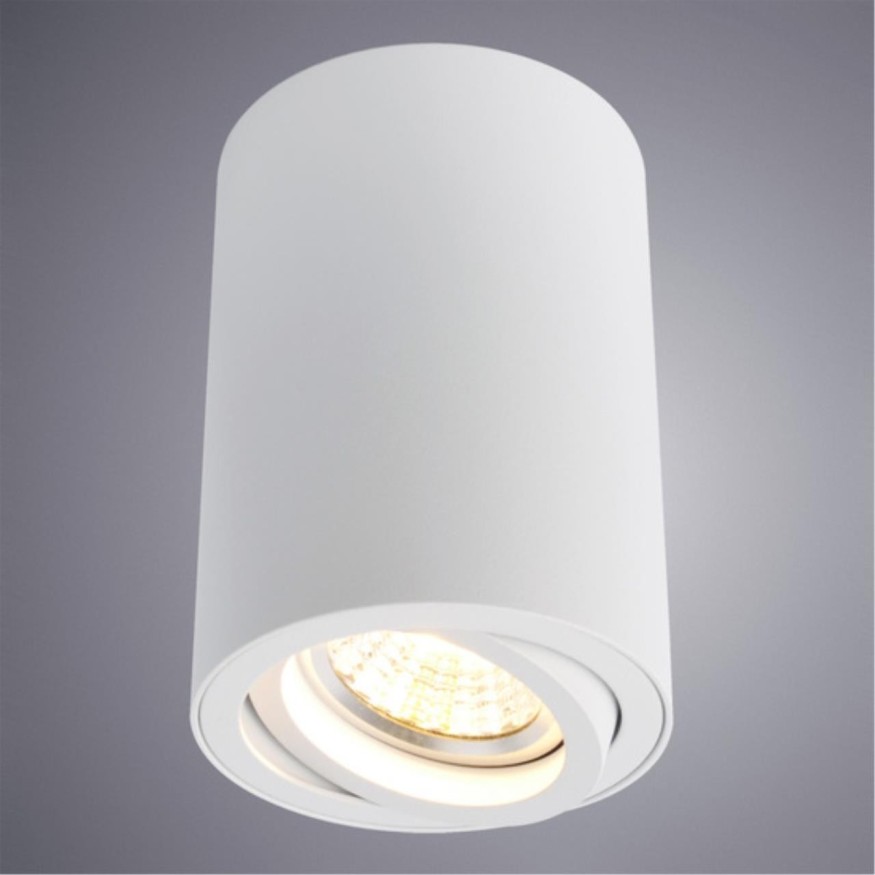 Накладной потолочный светильник Arte Lamp A1560PL-1WH SENTRY под лампу 1xGU10 50W