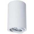 Накладной потолочный светильник Arte Lamp A1560PL-1WH SENTRY под лампу 1xGU10 50W