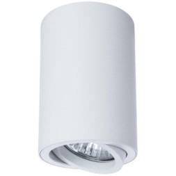 Накладной потолочный светильник Arte Lamp A1560PL-1WH SENTRY под лампу 1xGU10 50W